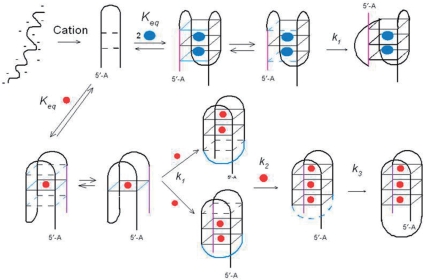 Figure 8.