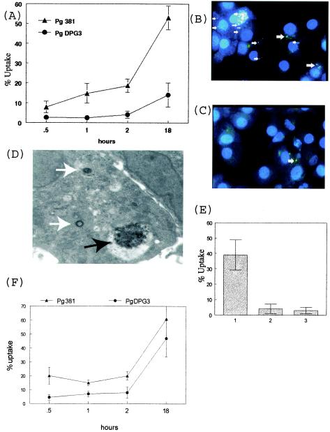 FIG.1.