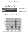 Fig. 3: