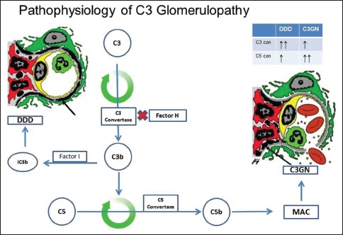 Figure 2d