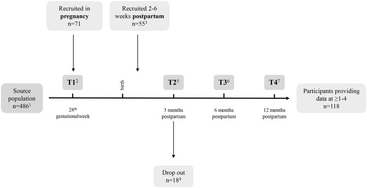 Fig 1