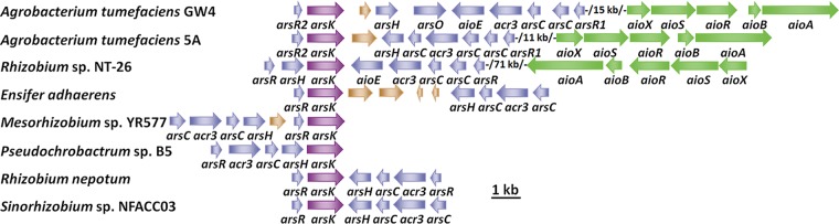 FIG 1