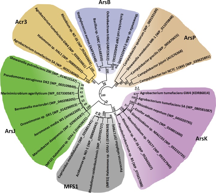 FIG 2