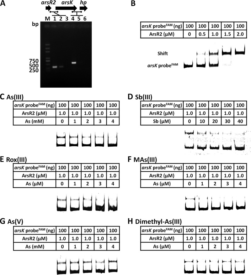 FIG 6