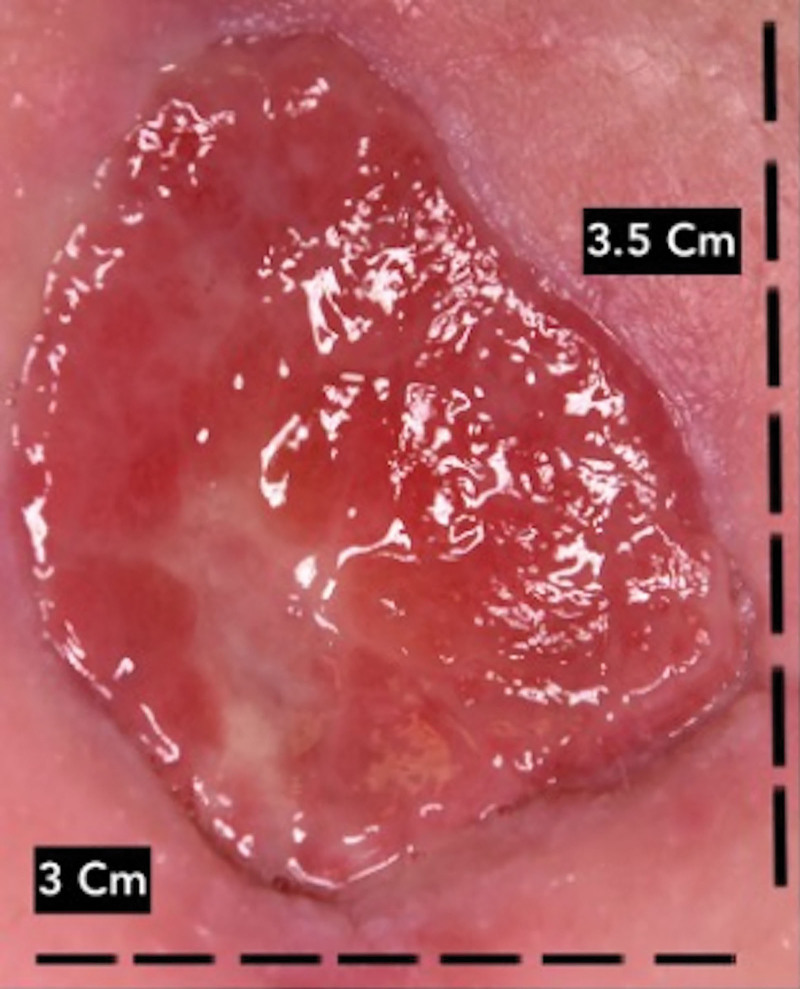 Fig. 1.