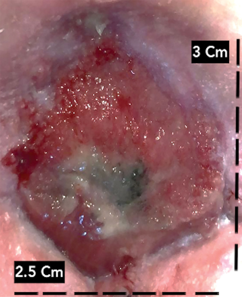 Fig. 3.