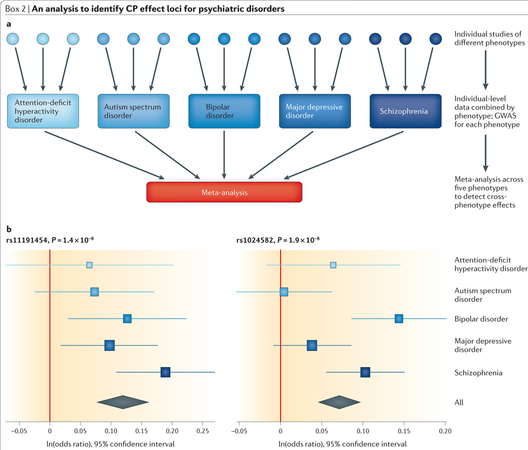 Box 2 | An analysis to identify CP effect loci for psychiatric disorders