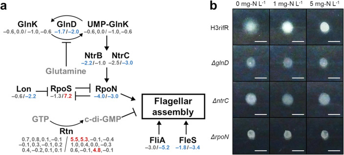Fig. 4