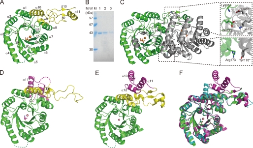 FIGURE 1.