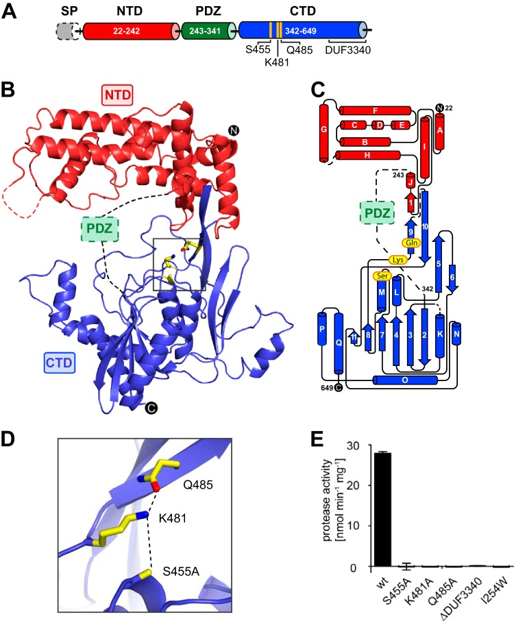 FIG 1