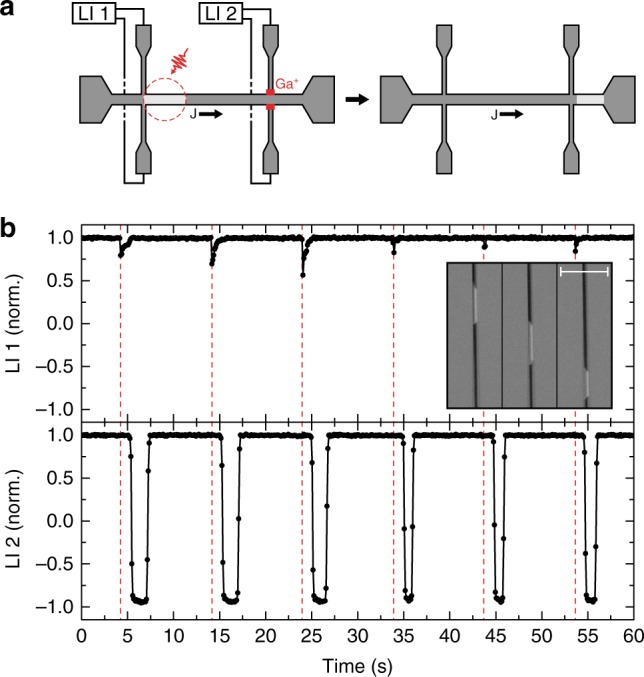 Fig. 2