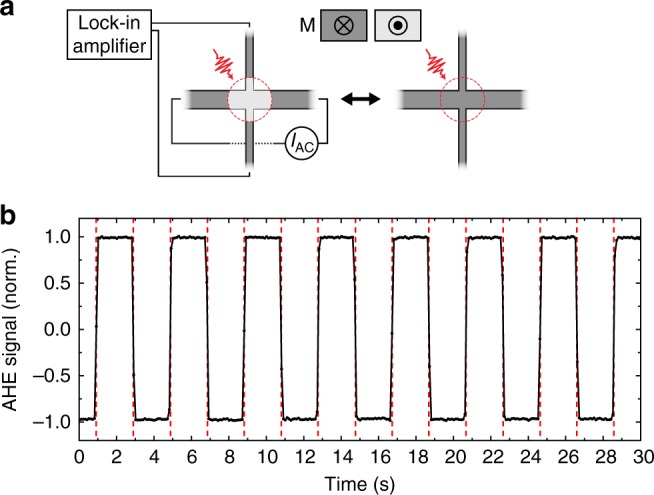 Fig. 1