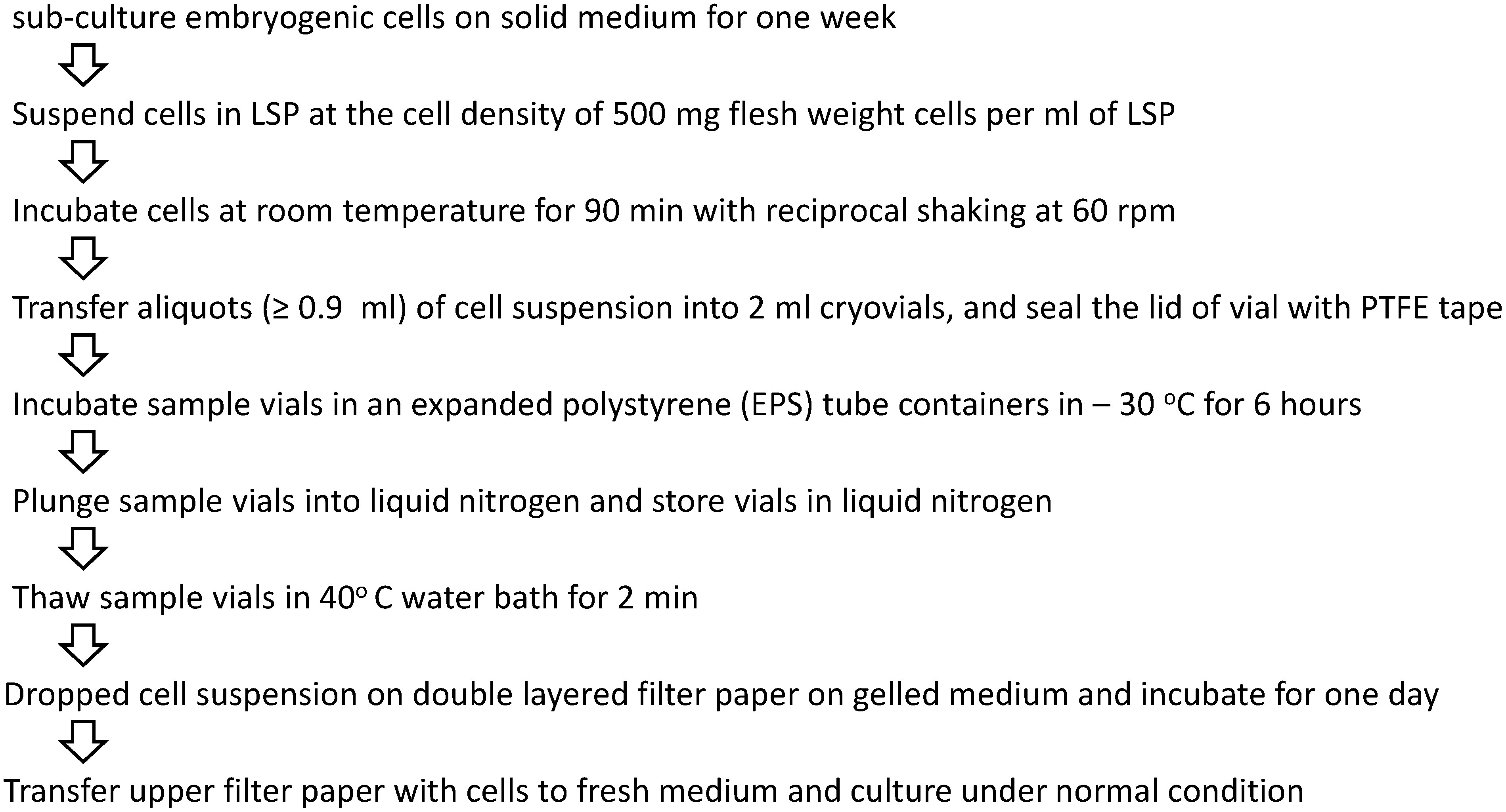 Figure 6. Protocol of embryogenic tissue cryopreservation in Cryptomeria japonica.