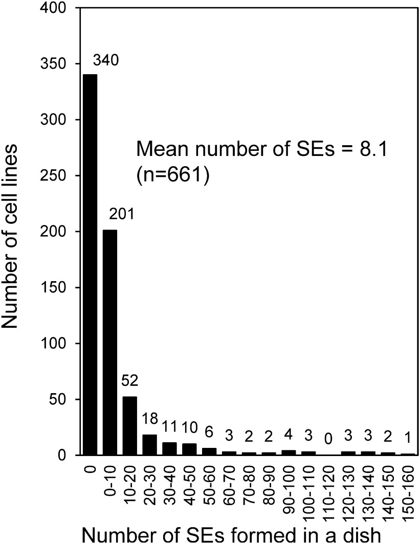 Figure 2. Frequency distribution of the number of somatic embryos formed per dish in each cell line of Cryptomeria japonica 2nd generation plus trees. Embryogenic cell lines (n=661) induced from 41 seed families were used for somatic embryos induction, and the number of somatic embryos induced was determined after 6 weeks of culture. SE, somatic embryo.