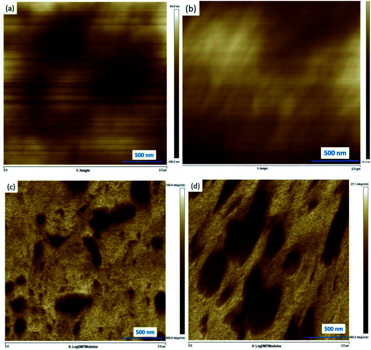 Fig. 10