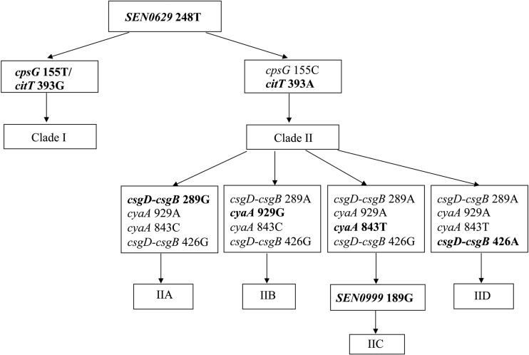 FIG 3