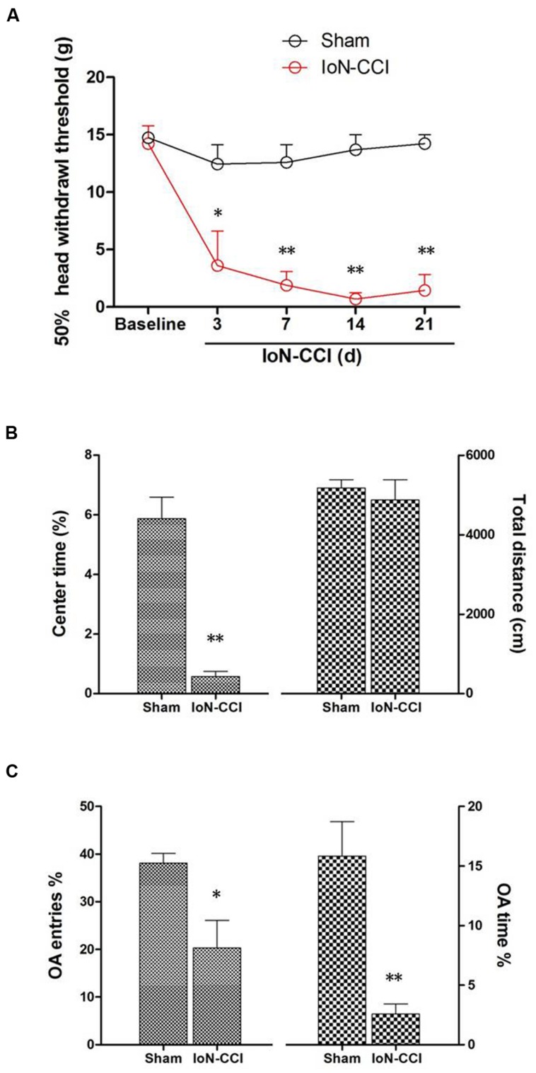 FIGURE 1