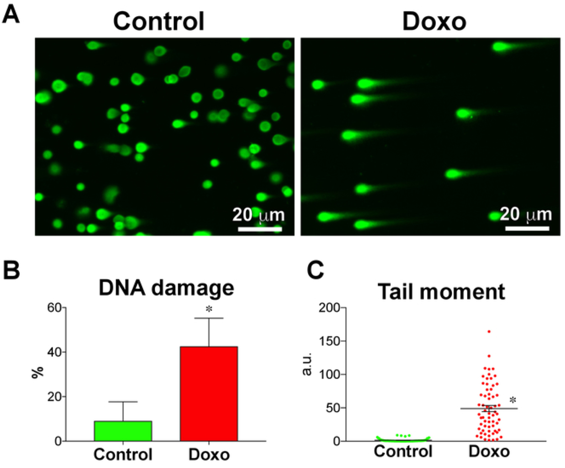 Figure 3: