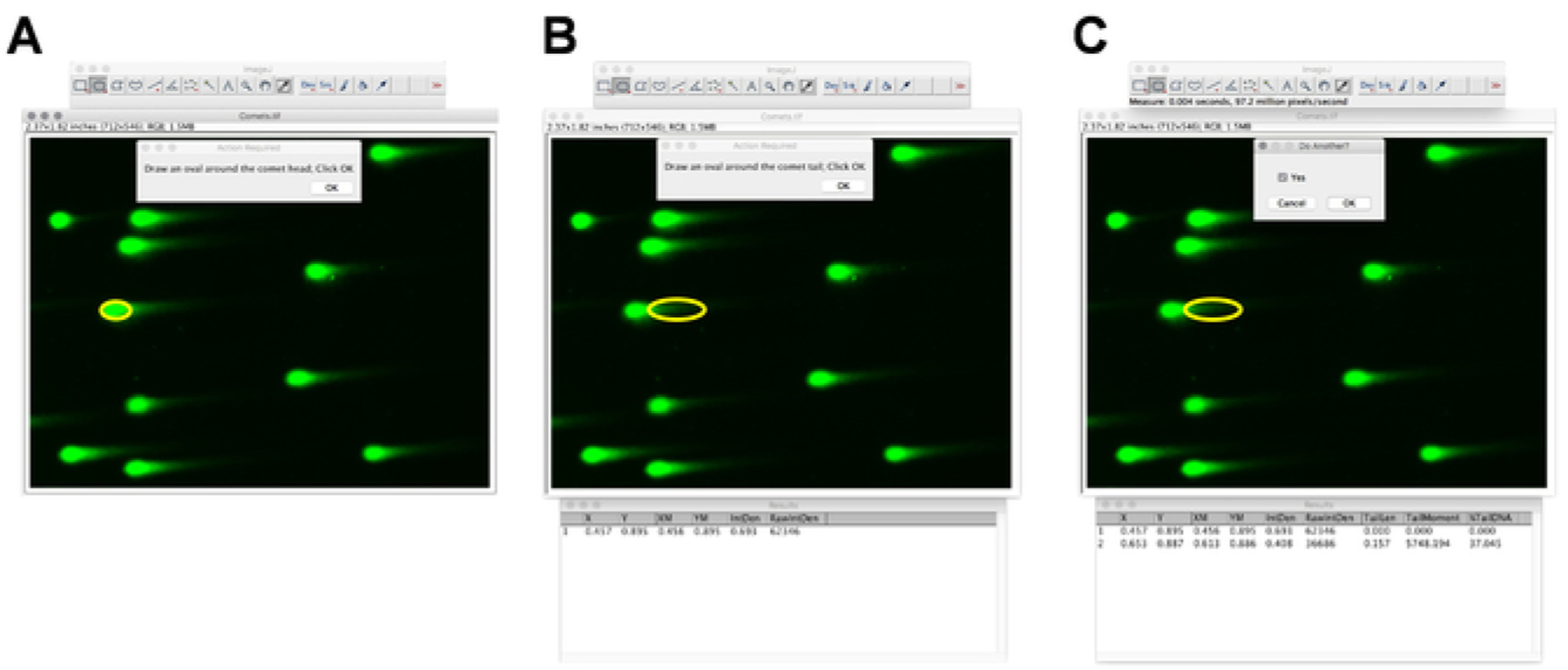 Figure 2: