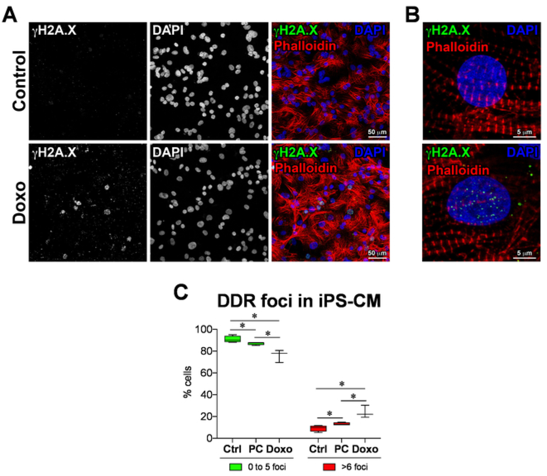 Figure 4: