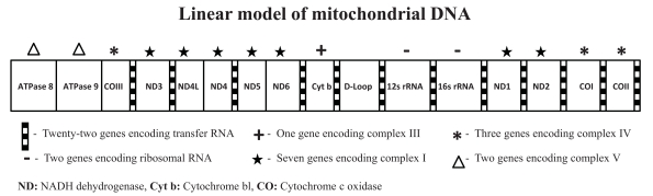 Fig. (2).