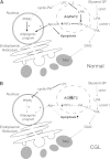 FIG. 8.