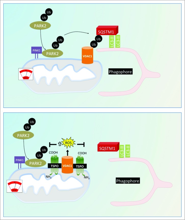 Figure 9.