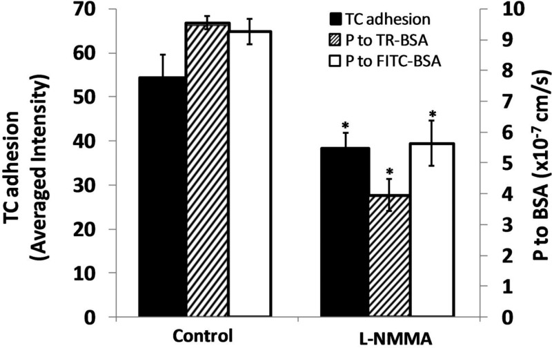 Fig. 10.