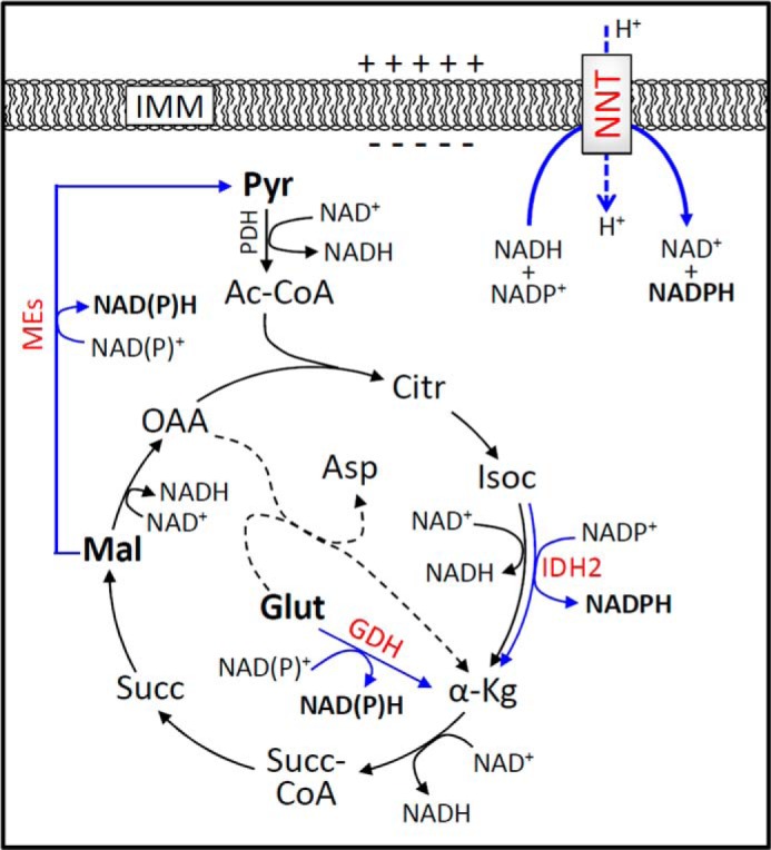 FIGURE 1.