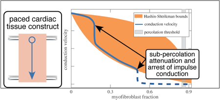 graphic file with name nihms-1018391-f0001.jpg