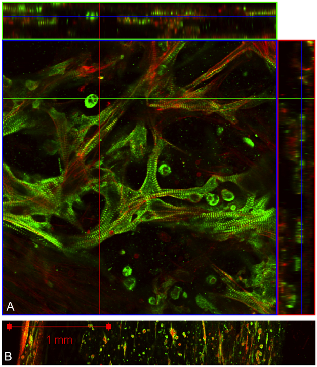 Figure 4: