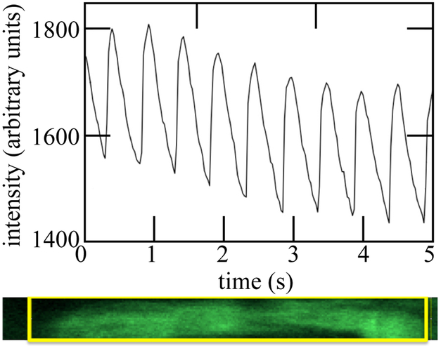 Figure 6: