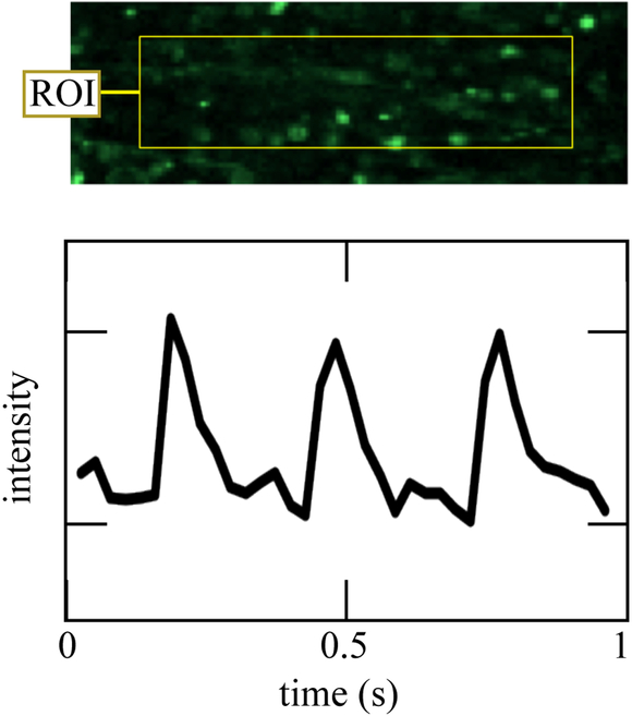 Figure 9: