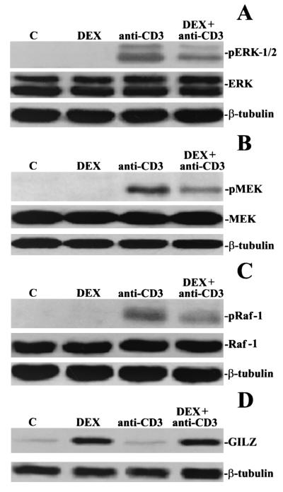 FIG. 9.