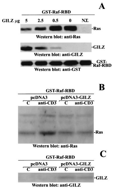 FIG. 8.