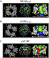 Fig. 1.