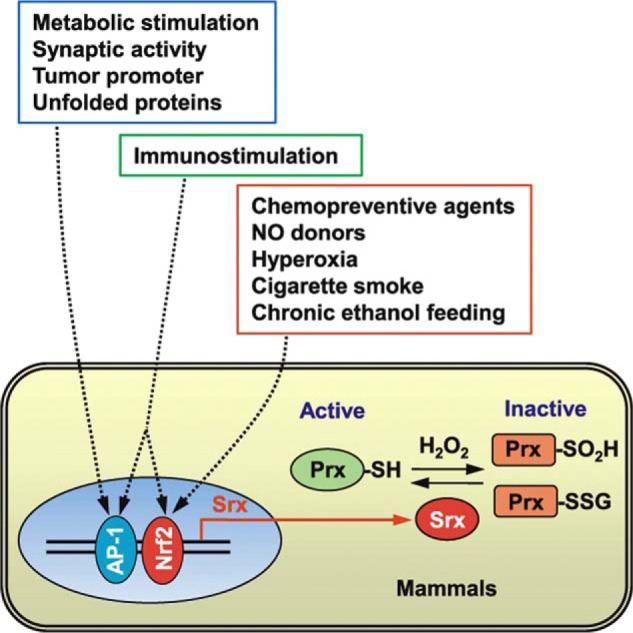 FIGURE 3.