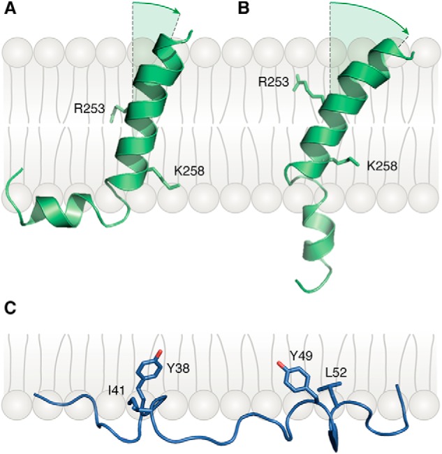 Figure 5.