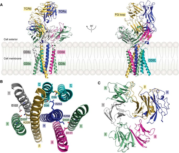 Figure 2.