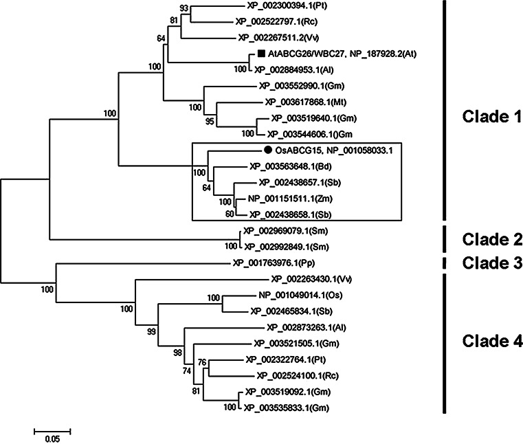 Fig. 6