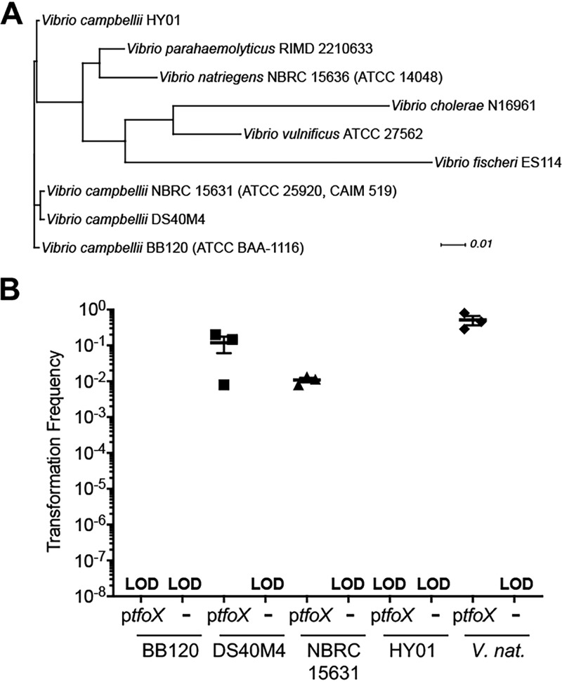 FIG 1