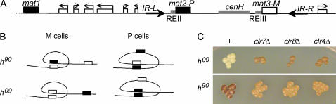 Figure 1.