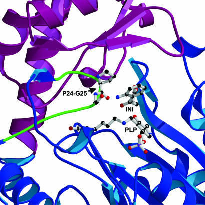 Fig. 4.