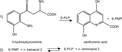 Scheme 1.