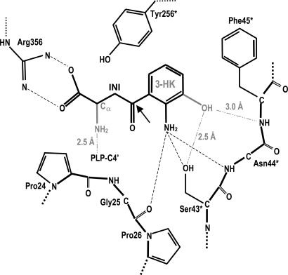 Scheme 2.