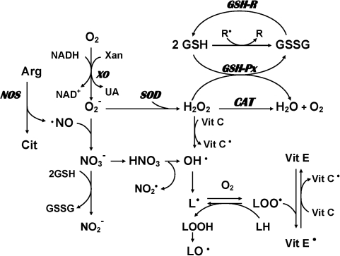 FIG. 2.