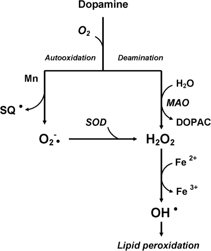 FIG. 10.