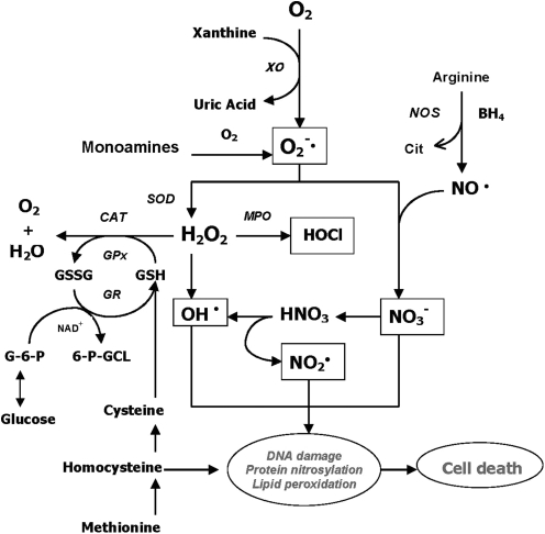 FIG. 12.