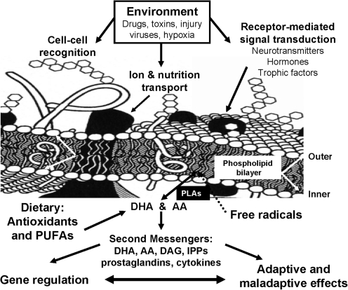 FIG. 7.