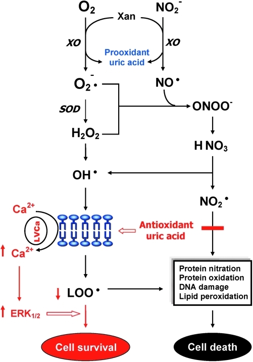 FIG. 4.